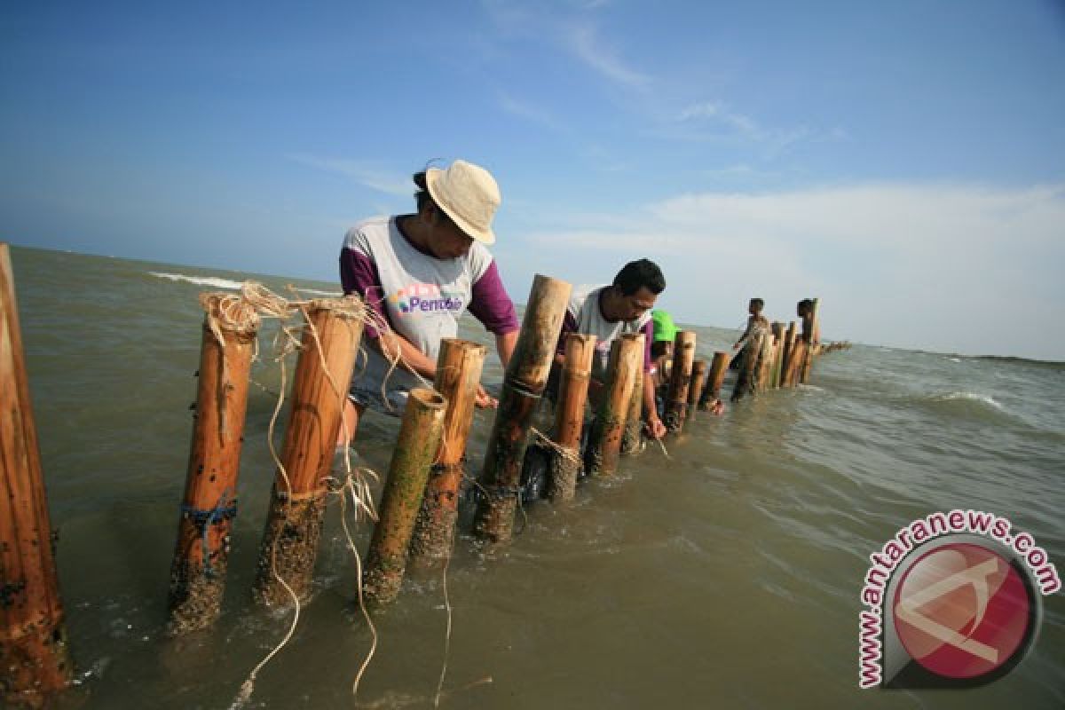 Permukaan laut bisa naik satu meter lebih abad ini