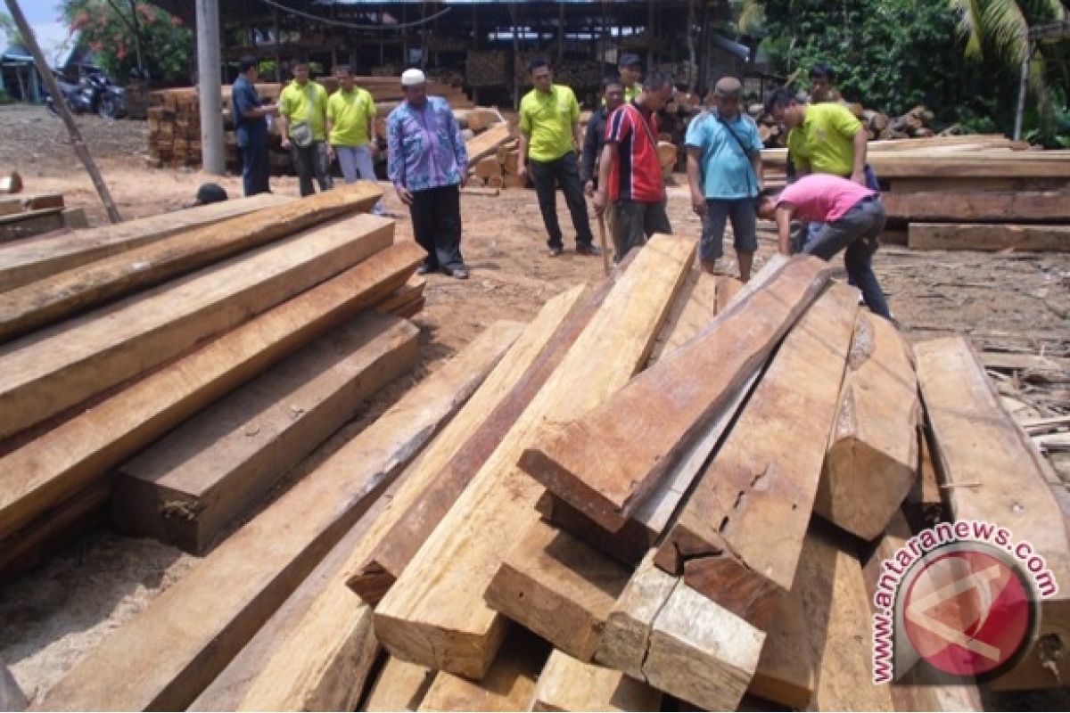 Polisi tangkap tangan pencuri kayu dalam TNKS