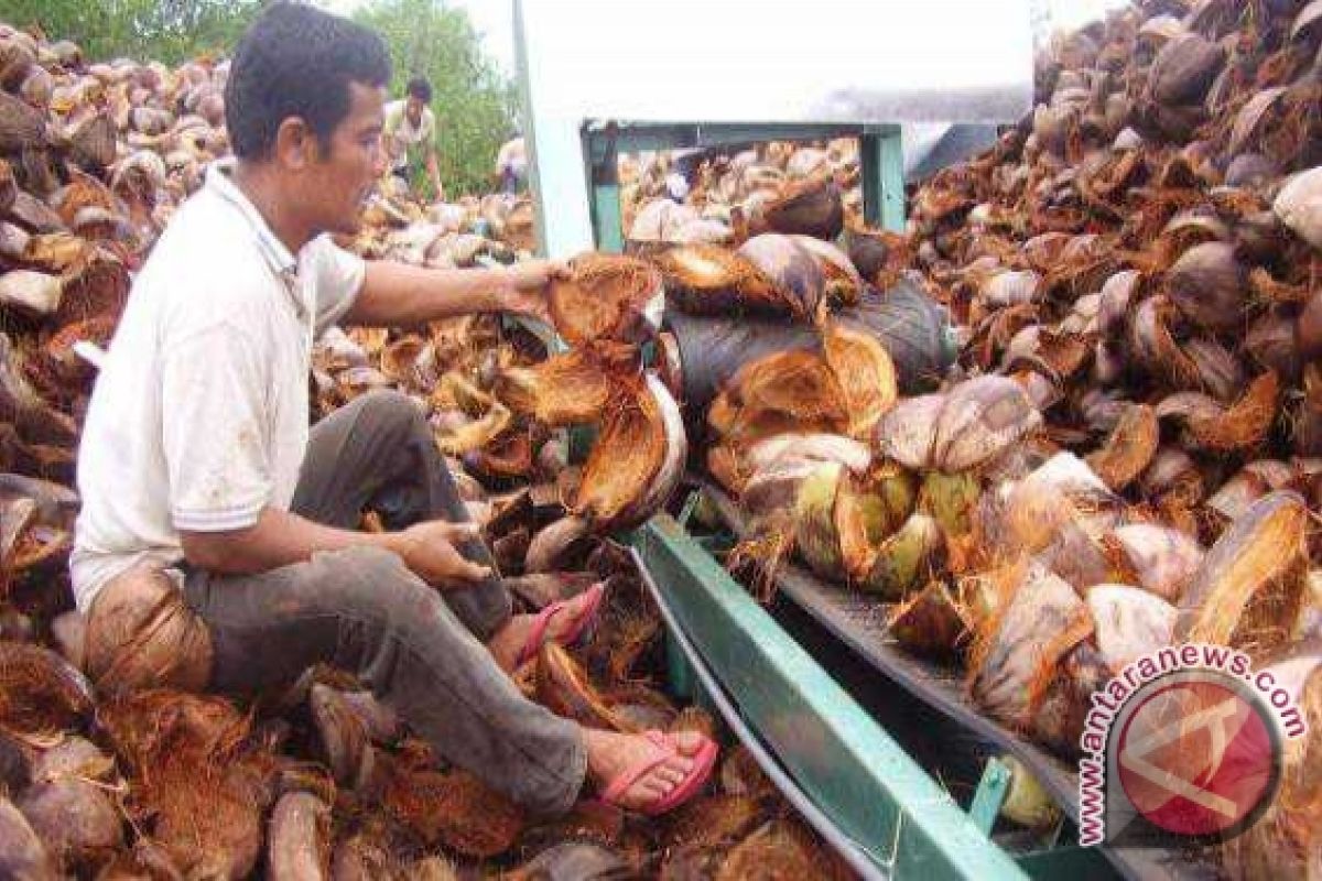 Mengolah Limbah Sabut Kelapa Menjadi Bahan Berguna