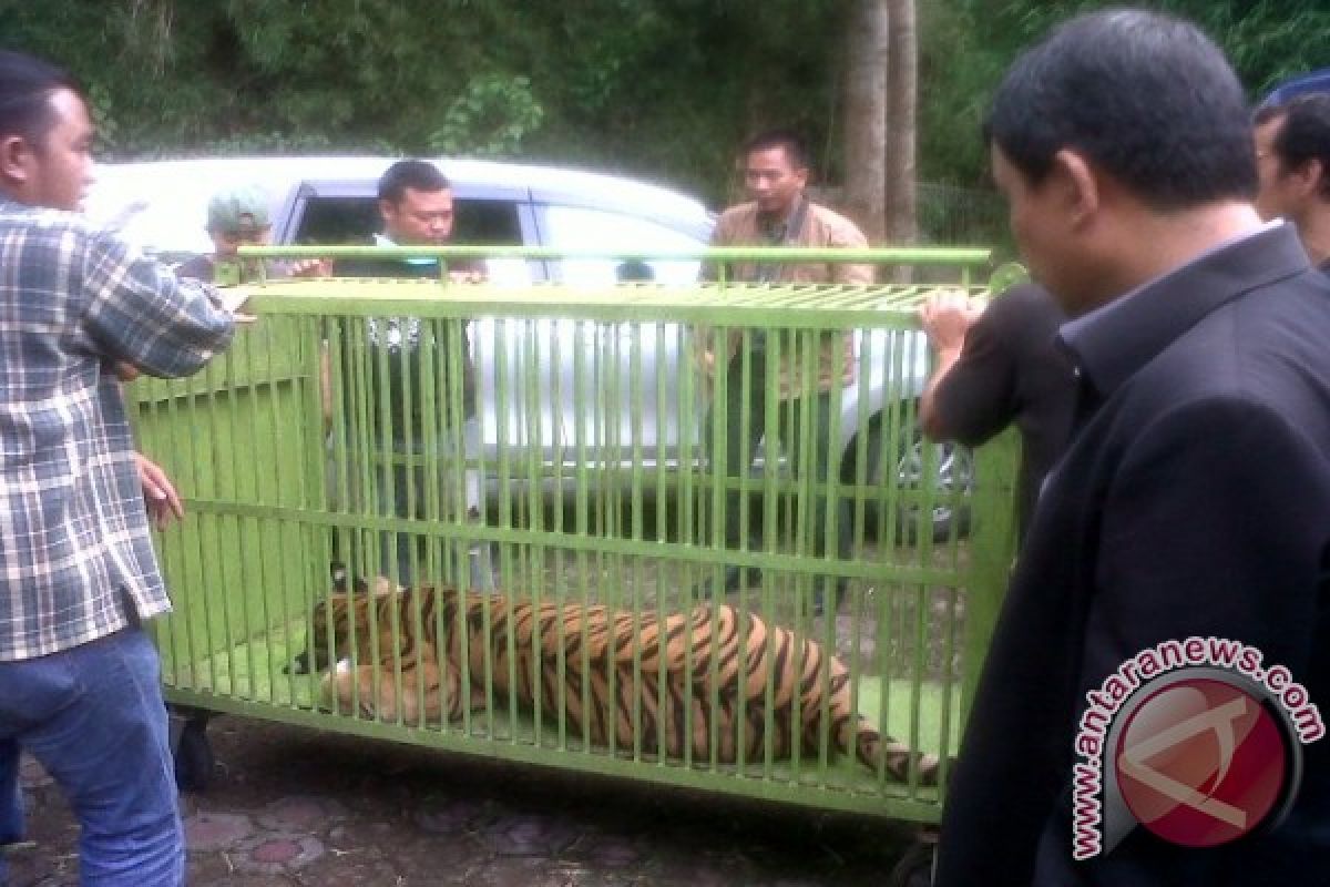 BKSDA selidiki asal usul satwa penghuni vila