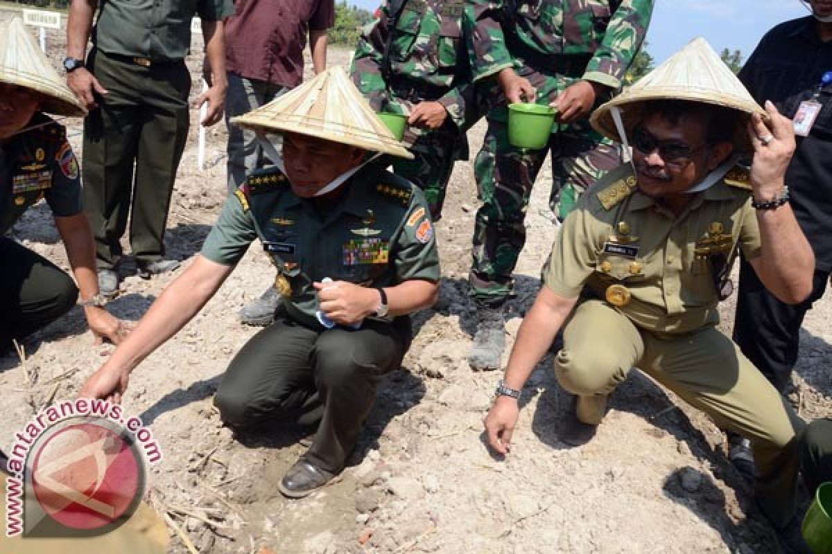 KSAD Bersama Pangkotama Lakukan Penanaman Kedelai 