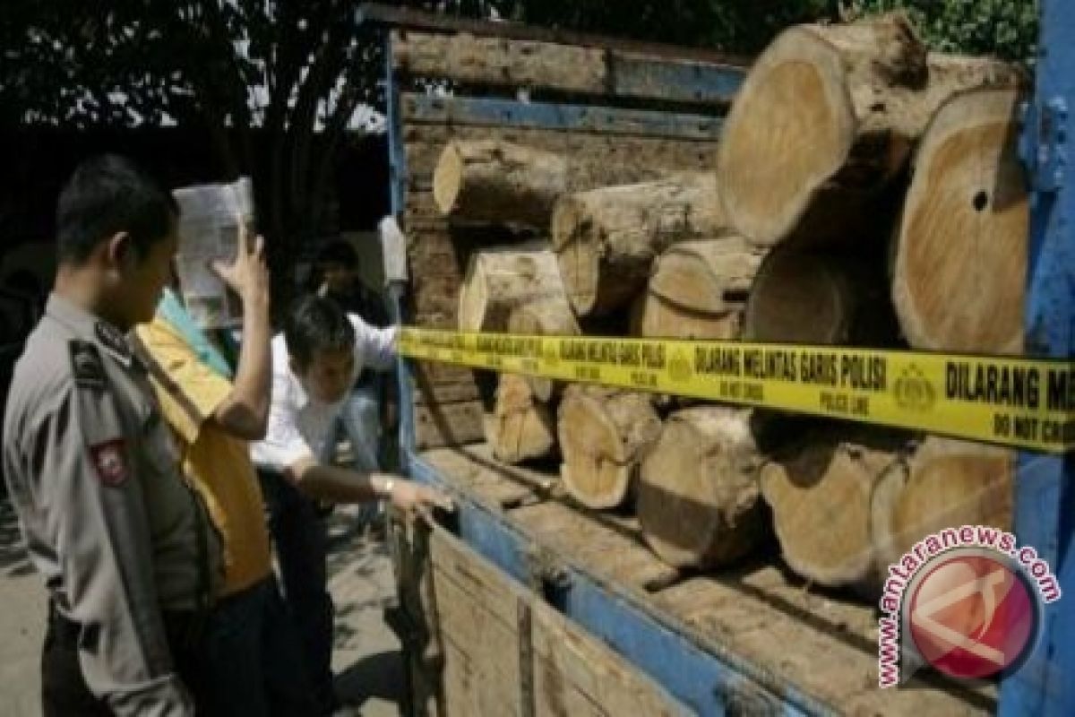 Polisi Bangka Barat Ringkus Empat Pembalak Hutan