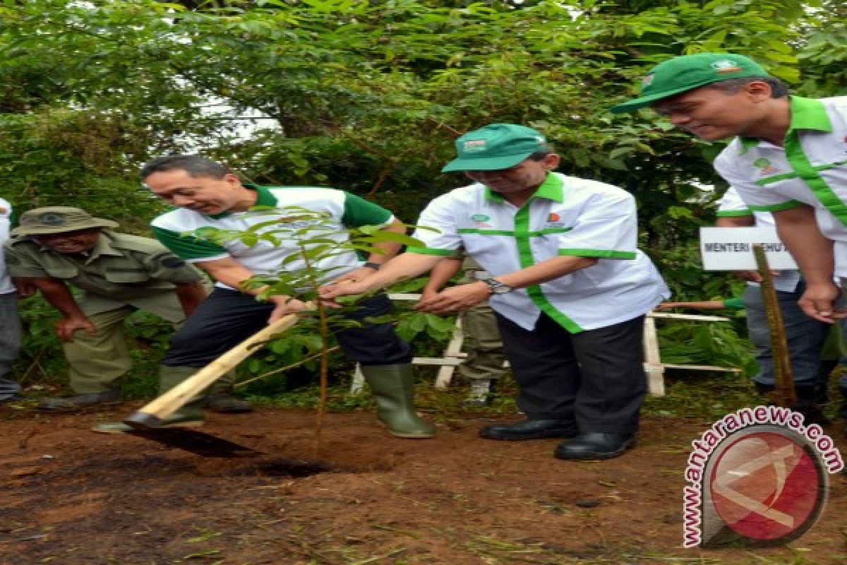 Menhut Serahkan HTR, Hutan Desa, KBR, Bansos PPMPBK di Tapanuli Selatan