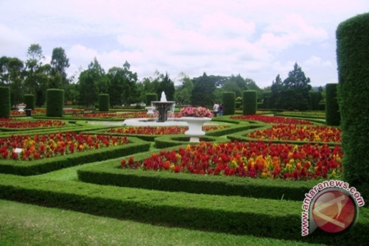 Pemkab Kotawaringin Timur Bangun Kebun Raya 