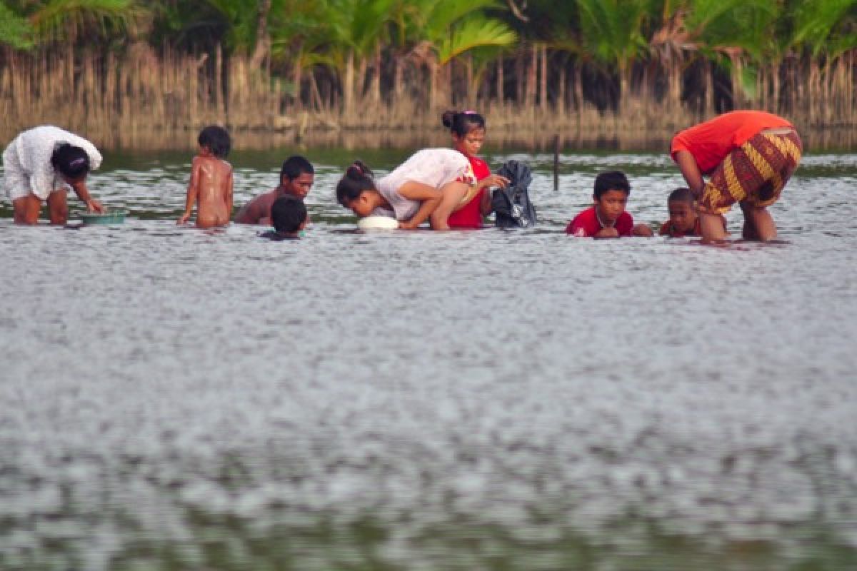 Hutan Bakau Pariaman Diubah Jadi Destinasi Wisata