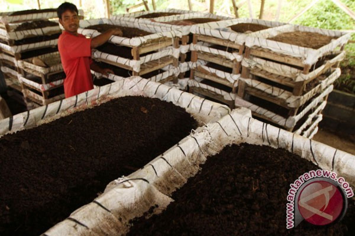 Budi daya cacing bisa hasilkan keuntungan ganda