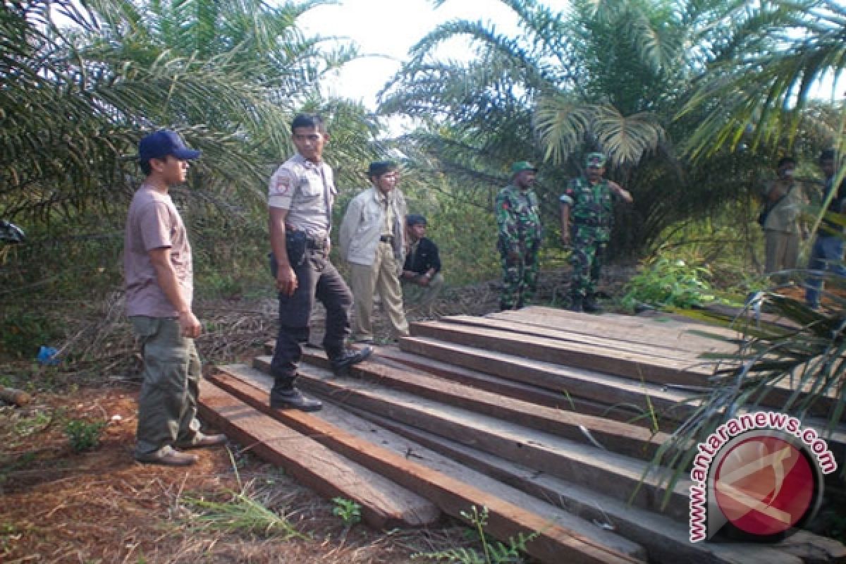 Tanah Laut Police Secures 330 Illegal Ironwood