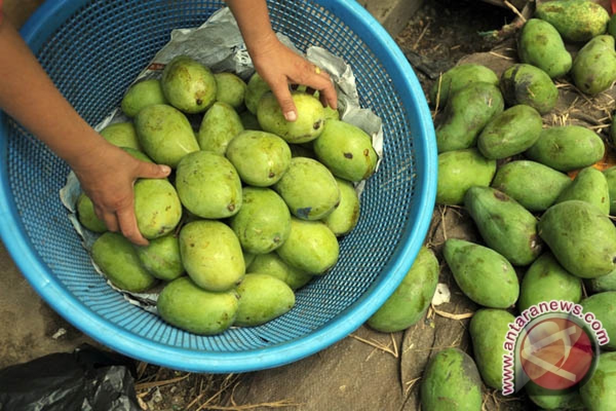 Mentan Amran kampanyekan buah lokal