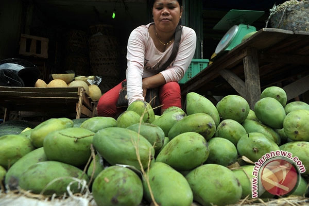 Mangga harum manis laris manis di Qatar