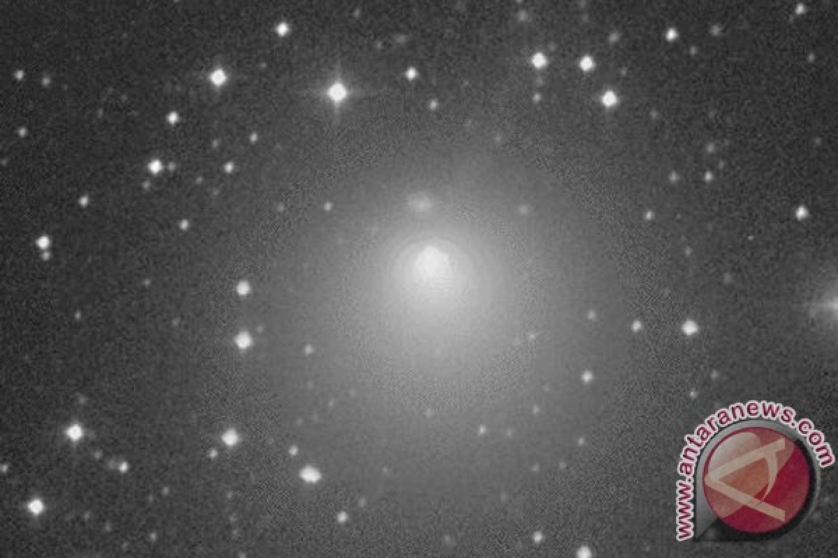 Bulan ini Komet Encke muncul lagi