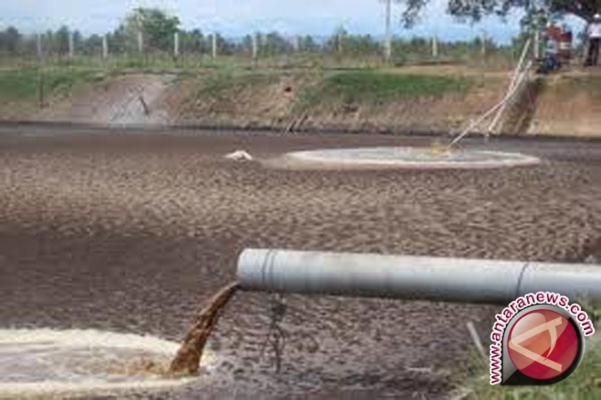 PLN Babel Kembangkan Biogas Limbah Kelapa Sawit