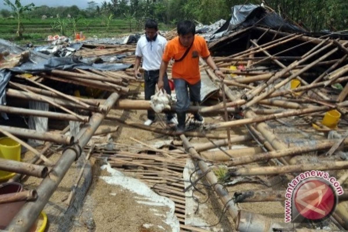 Ratusan Rumah Warga Rusak Diterpa Angin Kencang