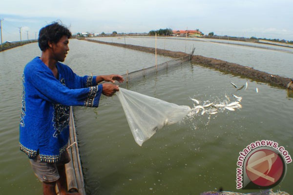 Ministry drafting master plan on national fish cultivation