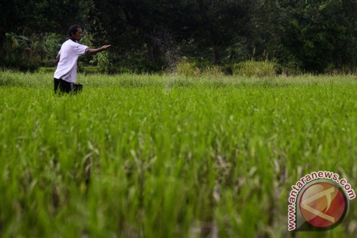 Kendala Indonesia kembangkan potensi pertanian