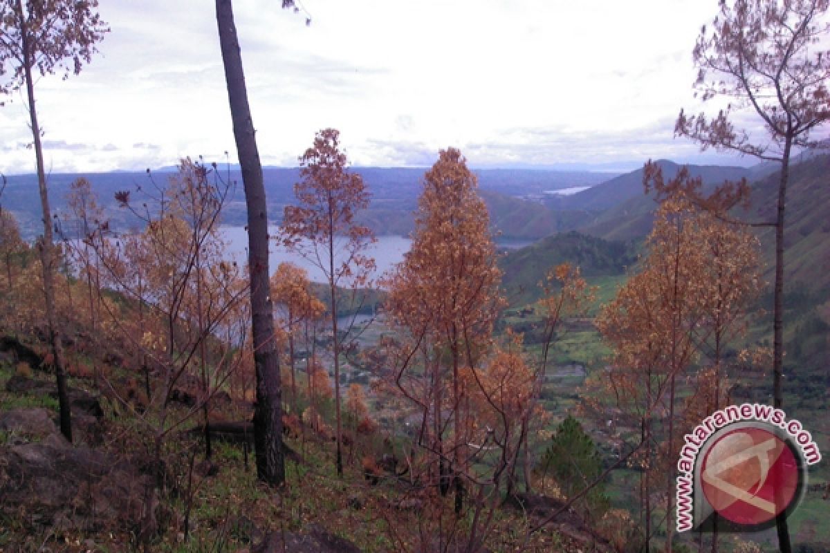 Danau Toba, Taman Bumi Yang Makin Rusak