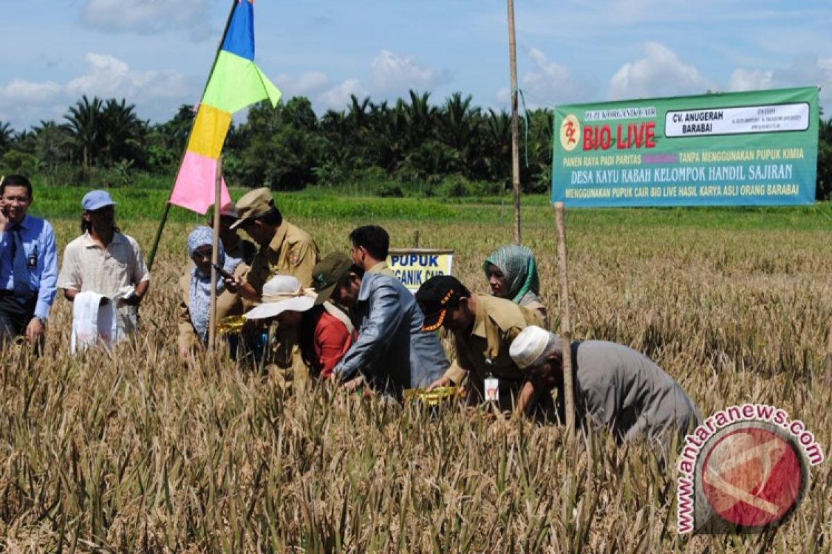 Sebanyak 53 Hektar Lahan Pertanian Kekeringan