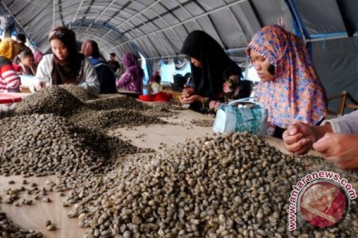 Mahasiswa Hongkong tertarik pada kopi Gayo