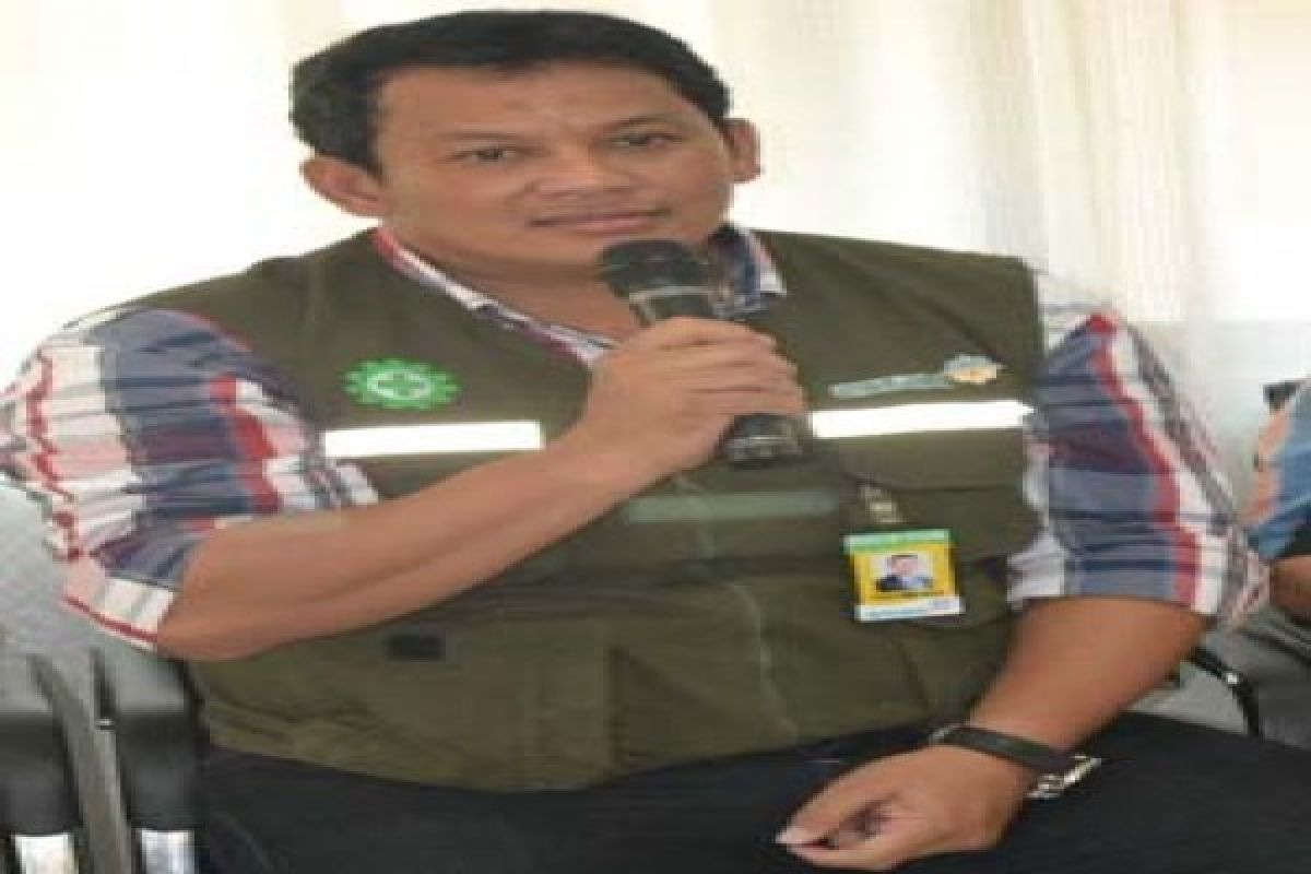 Delapan Paket Pembangunan Ferronikel Pomalaa US$ 550 Juta