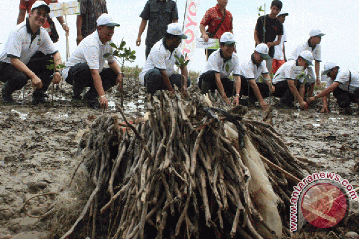 Menteri Lingkungan Hidup tanam mangrove di Karawang