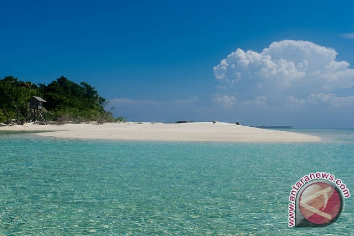 Merambah Gelap Menunggu Penyu di Pulau Sangalaki 