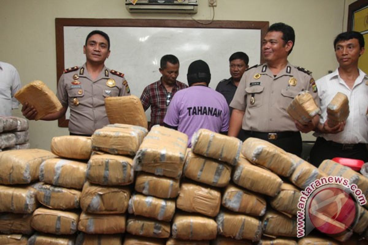 Bandar 540 kilogram ganja dihukum seumur hidup