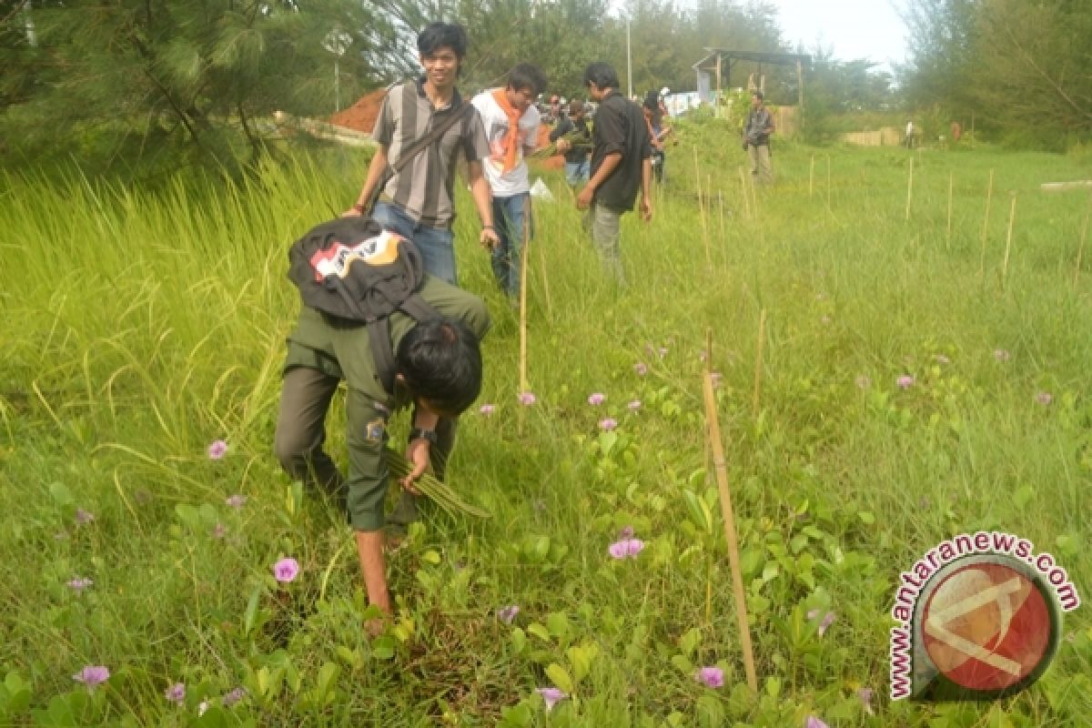 Mahasiswa Bengkulu tanam 1.000 batang mangrove