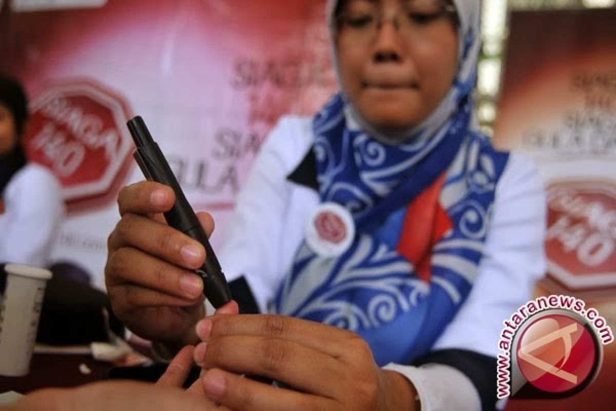 UGM kembangkan sirih merah untuk obat diabetes