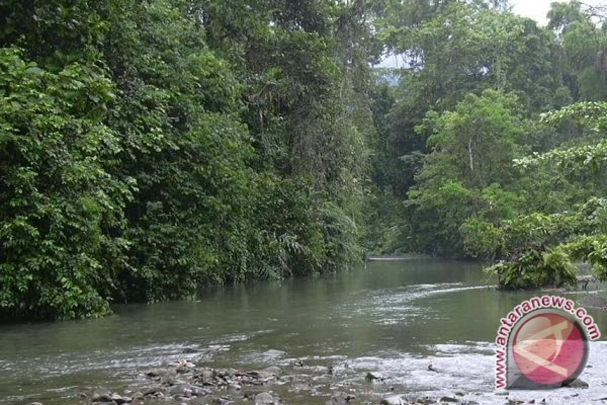 Mencermati Komitmen Warga Long Duhung Lestarikan Hutan 