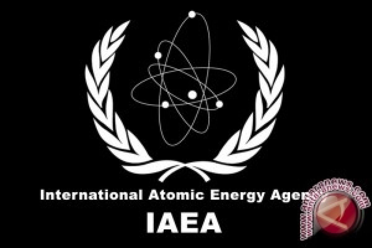  IAEA: bahan radioaktif sangat berbahaya dicuri di Meksiko