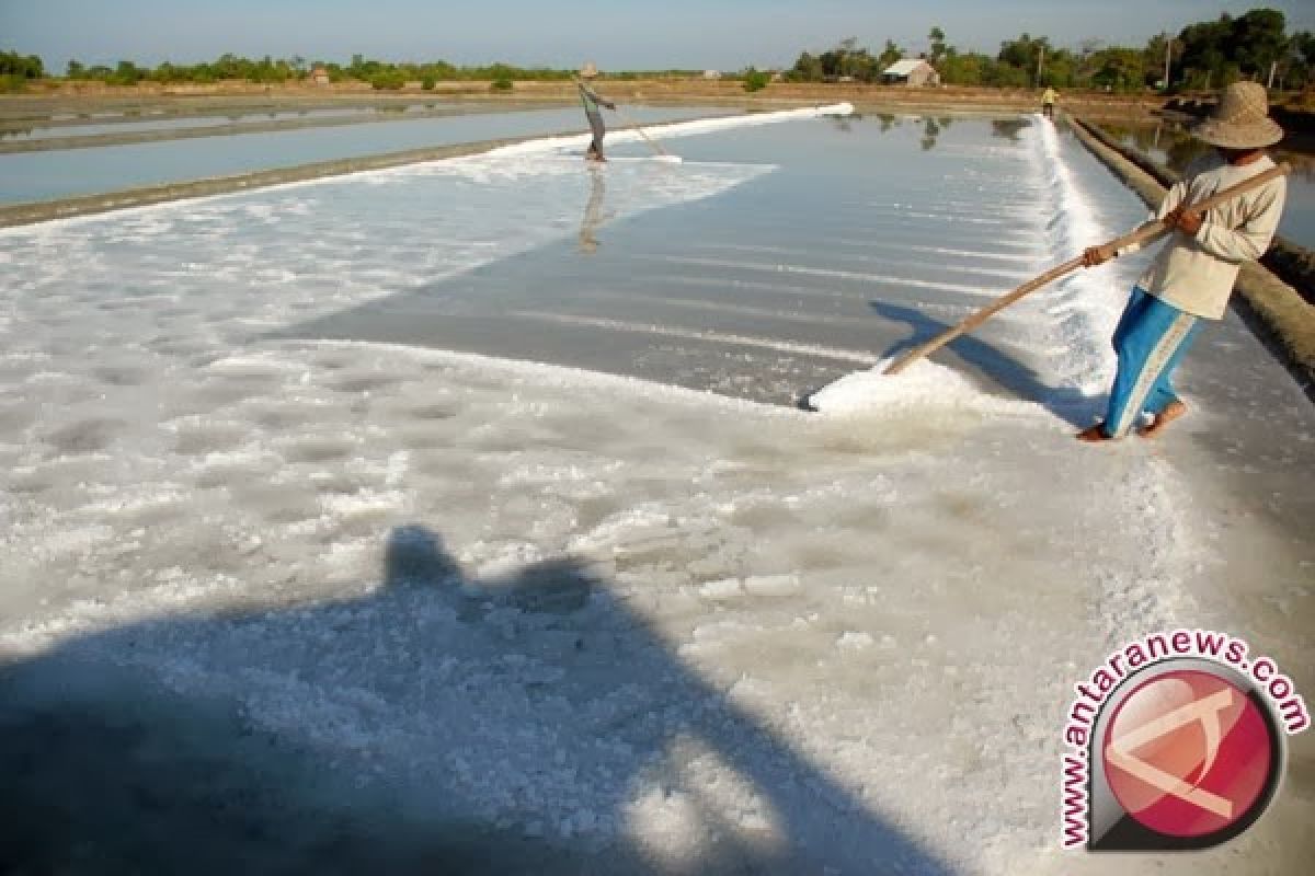 Presiden janji upayakan harga garam layak pada petani