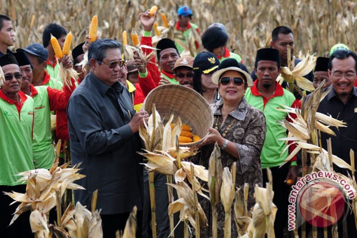 Presiden berdialog dengan petani jagung di Pamekasan