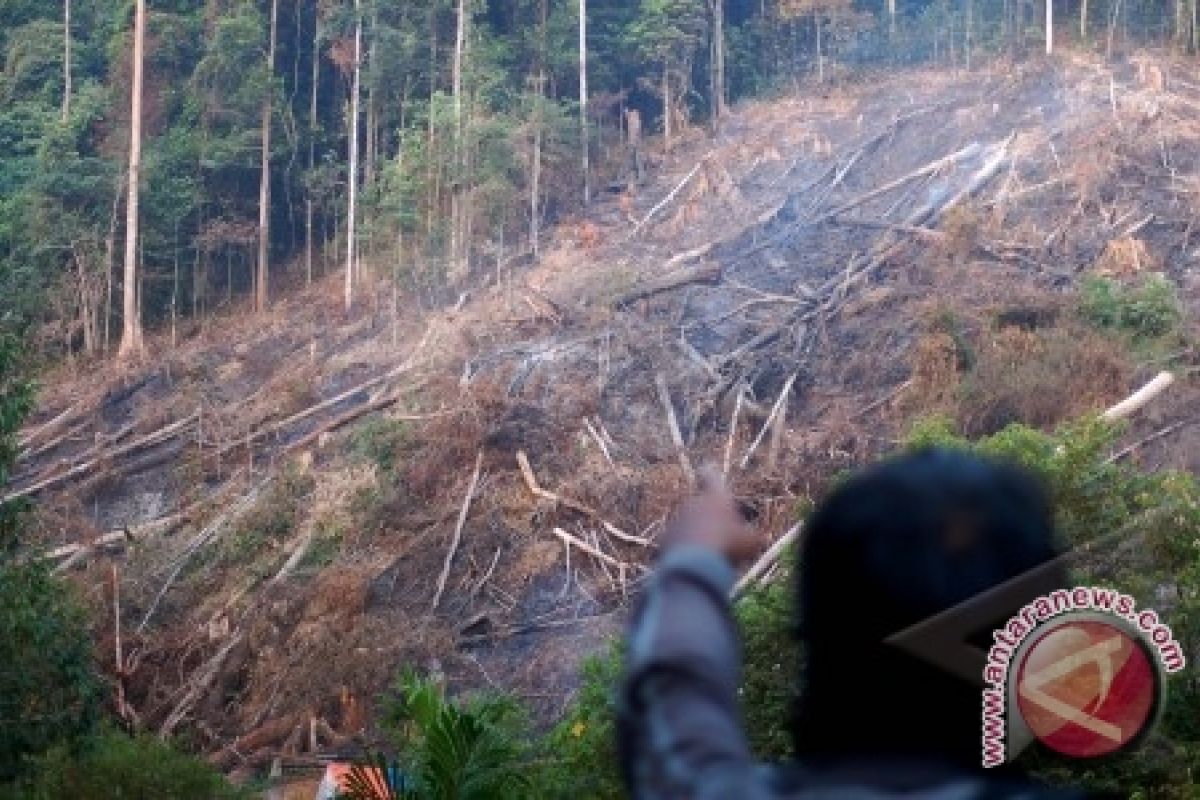 Dishut: Perusahaan HTI Agar Laporkan Pengamanan Hutan