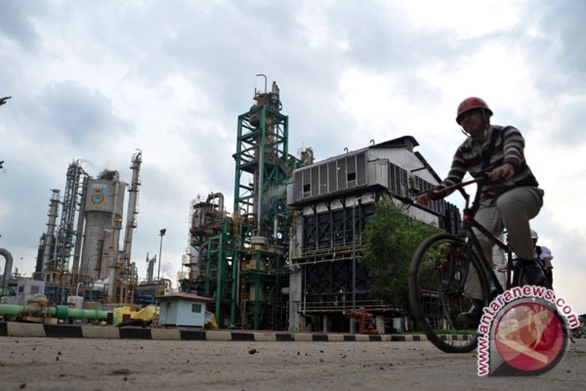 PT Pusri produksi urea 1,17 juta ton 