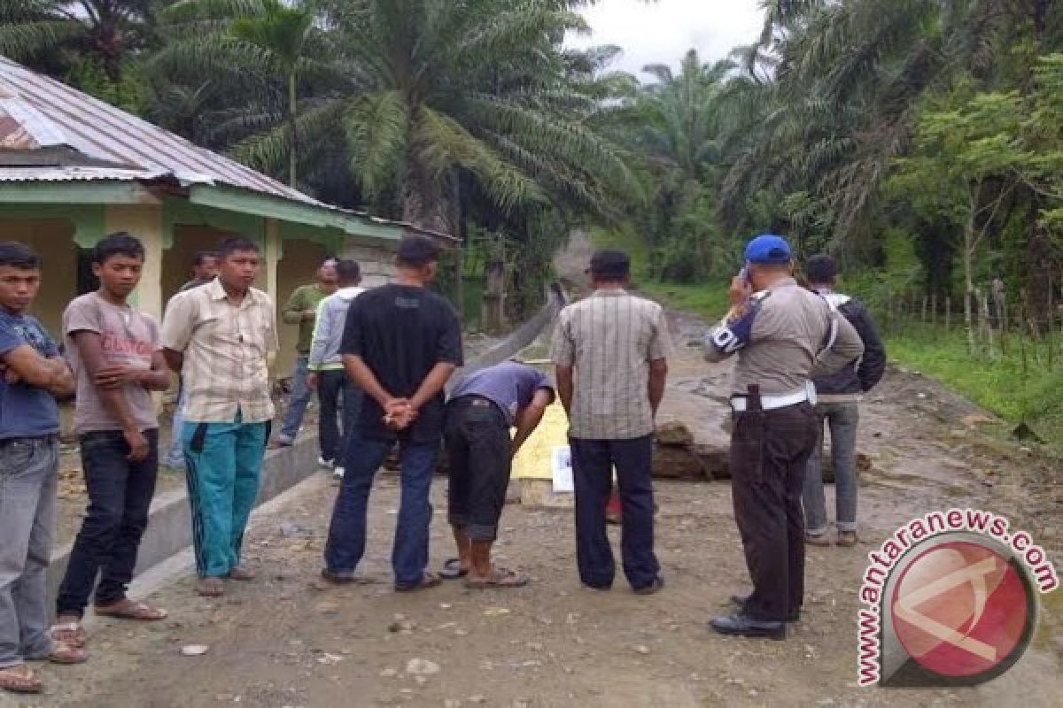 Warga Bireuen Blokir Jalan Ke Perkebunan