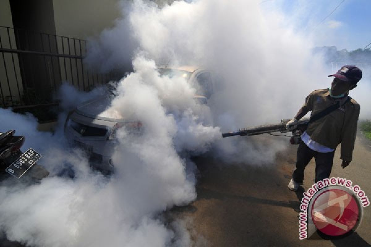 Cegah DBD, Ahok instruksikan fogging serentak