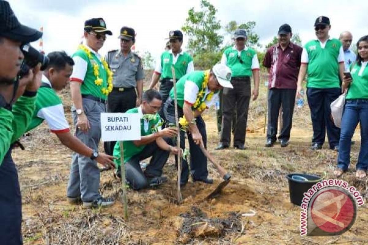 Pemkab Sekadau Ajak Tanam Pohon di SMAN 1 Sekadau Hulu