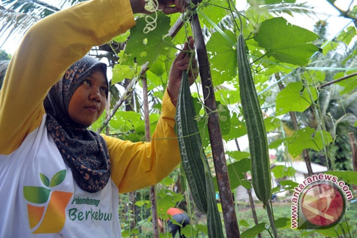 Camat ubah lahan tidur jadi kebun buah-buahan 