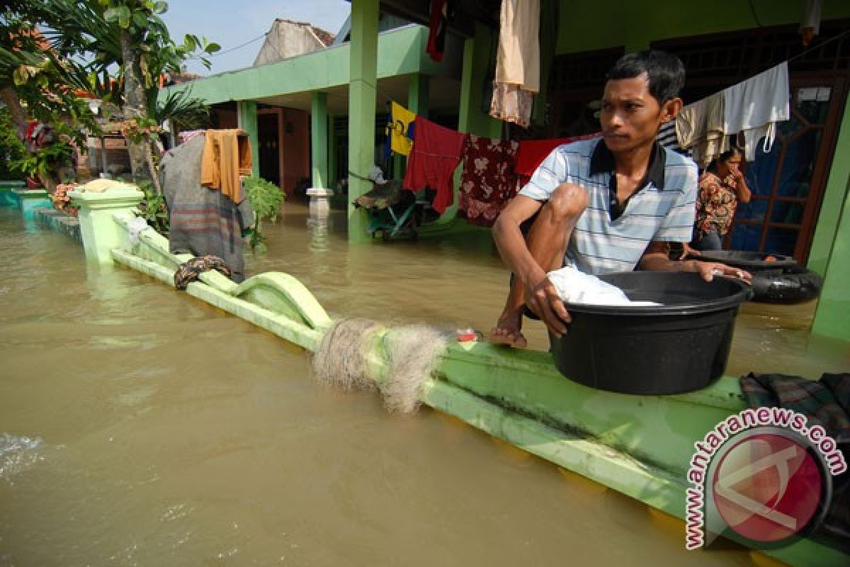 Banjir di Jember semakin meluas