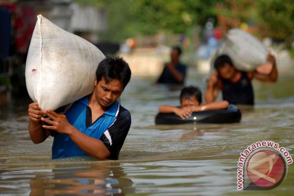 Banjir surut, petani di gresik kembali tanami lahan