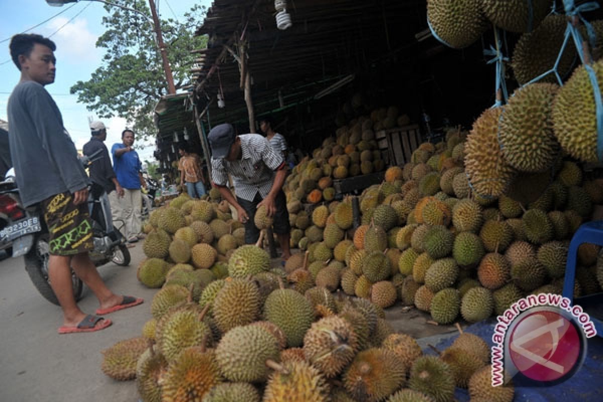 Pedagang buah durian mulai ramai di Palembang