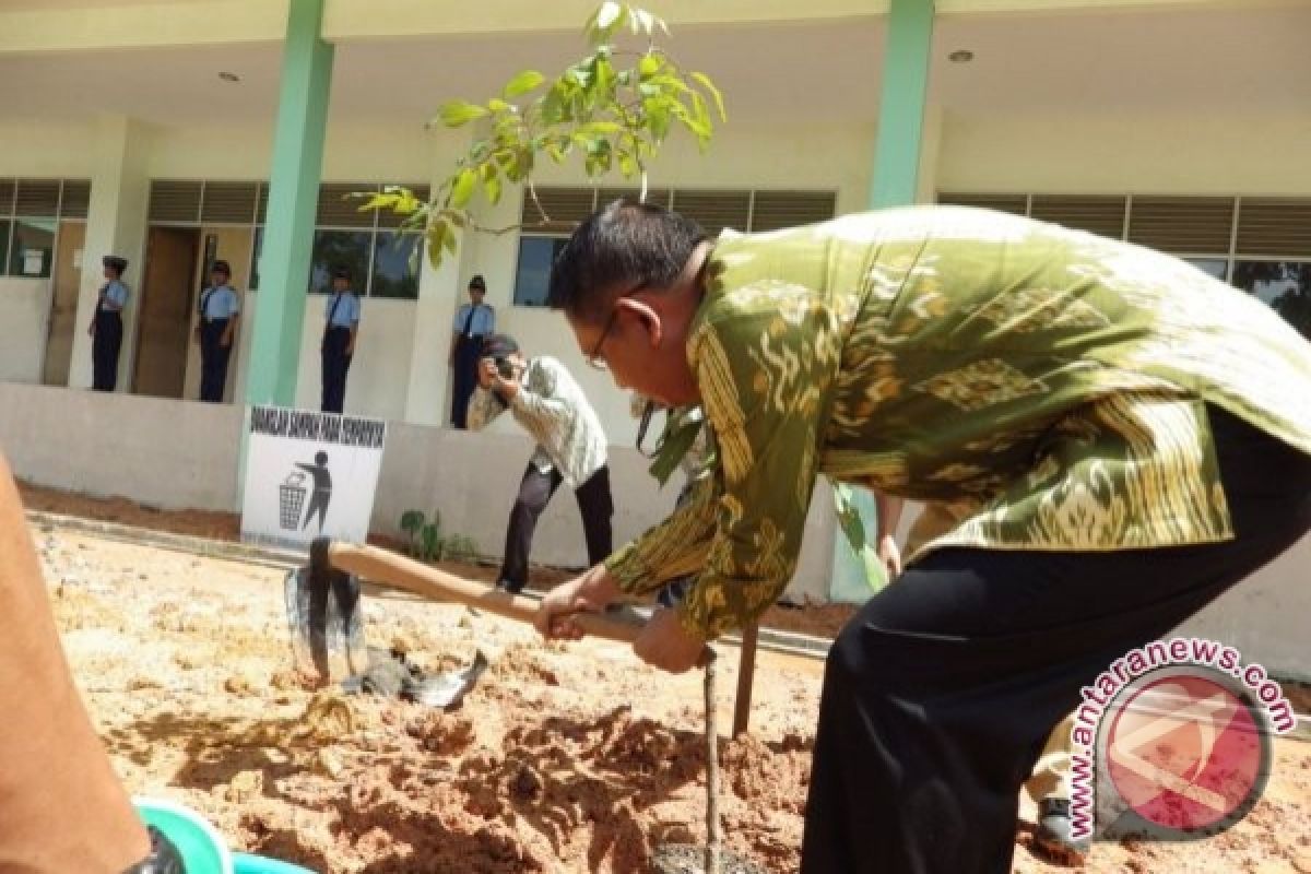  Kayu Cerucuk Untuk Bangunan Komersial Dilarang di Pontianak