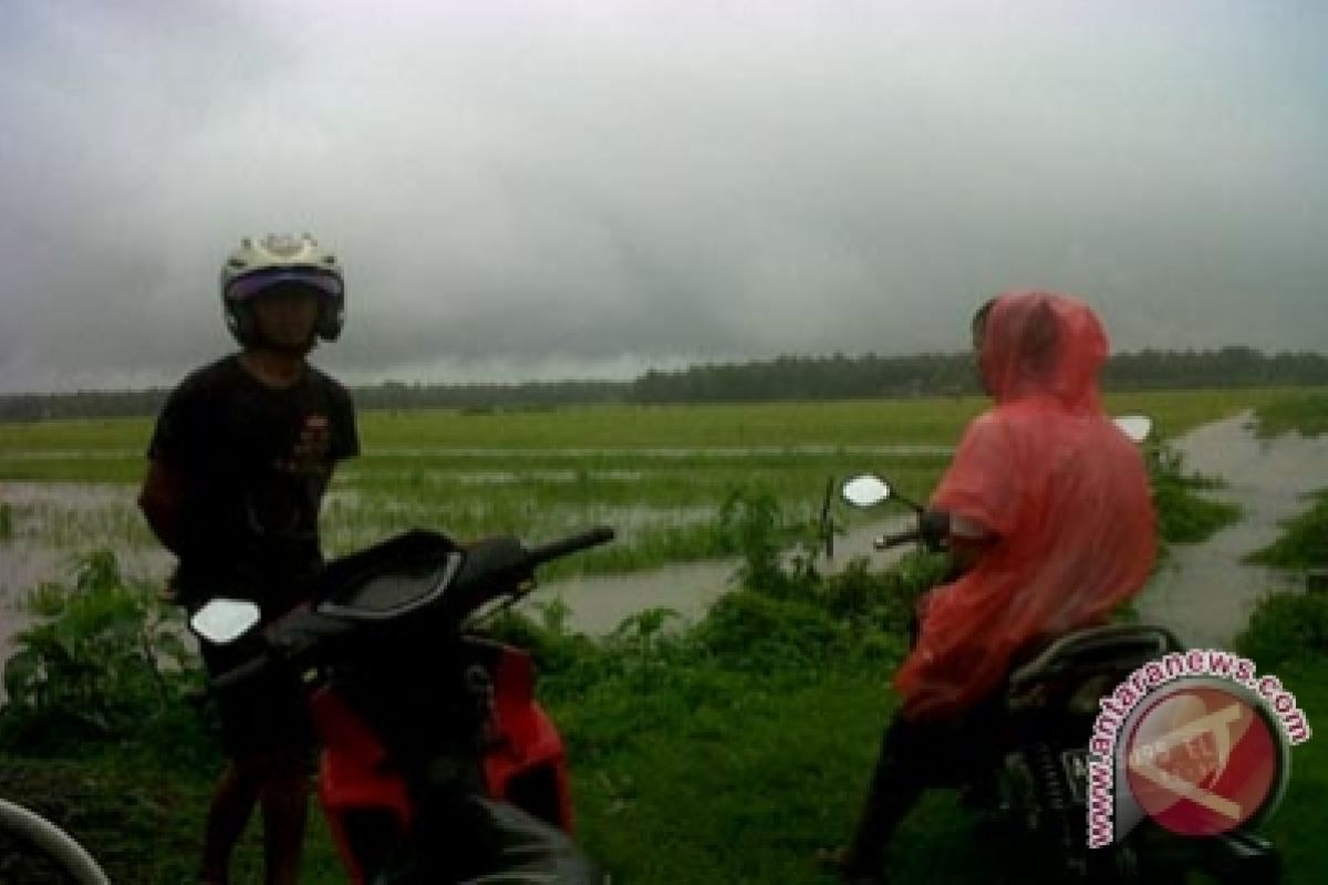 Kulon Progo serahkan asuransi padi Rp542,4 juta 