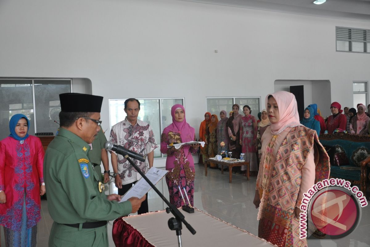 Mina Tarmizi Dilantik Jadi Bunda PAUD