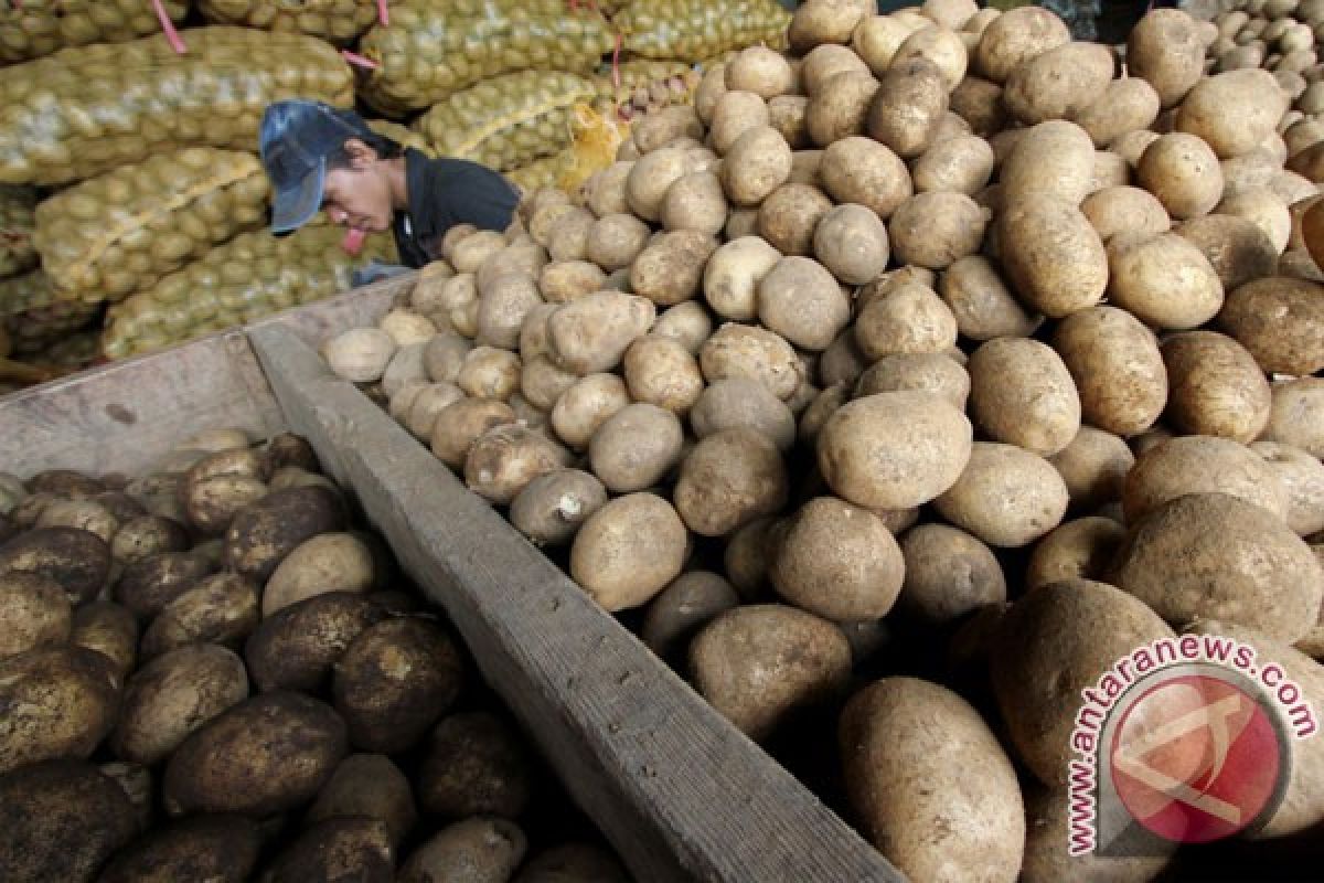 Tiongkok jadi produsen kentang terbesar dunia