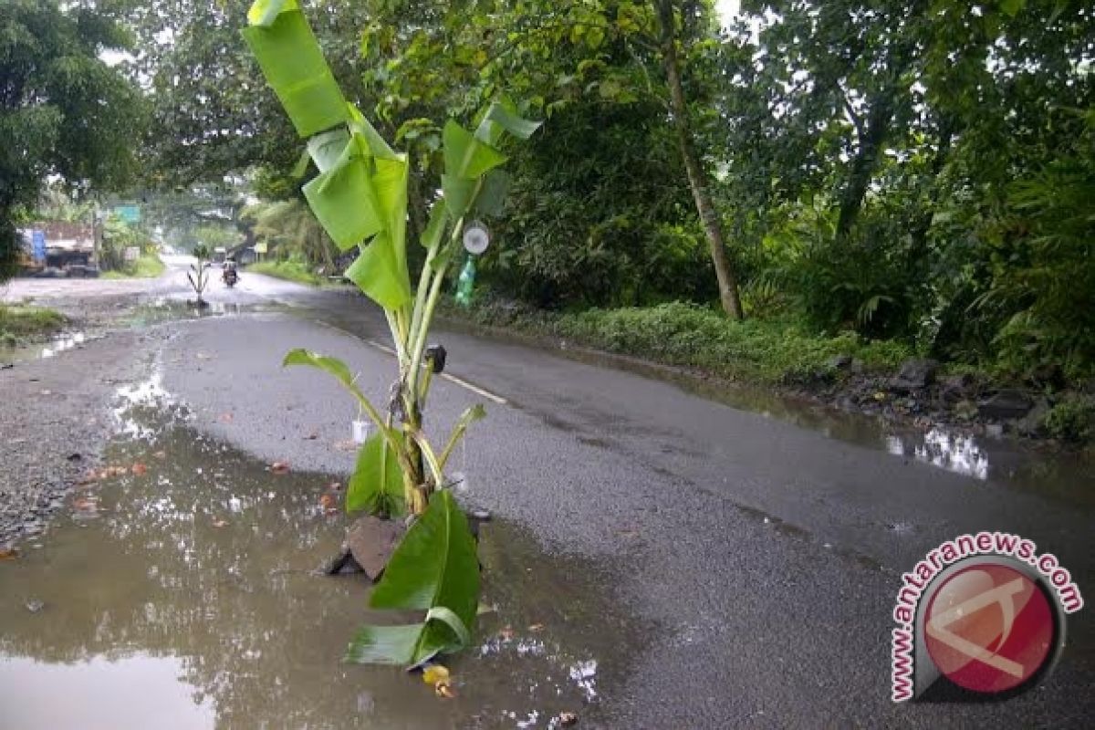 Jalan rusak, warga tanami pohon pisang