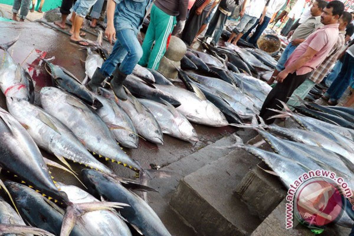 Perikanan tangkap Sukabumi sumbang produksi selatan Jabar
