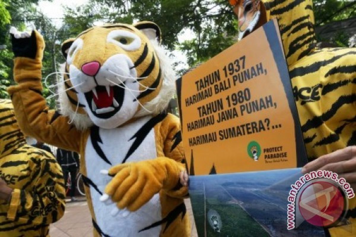 44 Negara Dukung Penyelamatan Harimau Sumatera