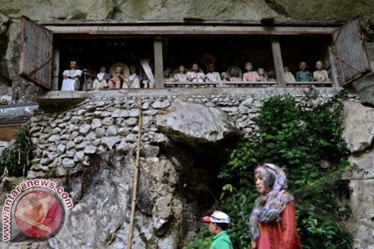 Toraja Utara fokus pembangunan infrastruktur pariwisata 