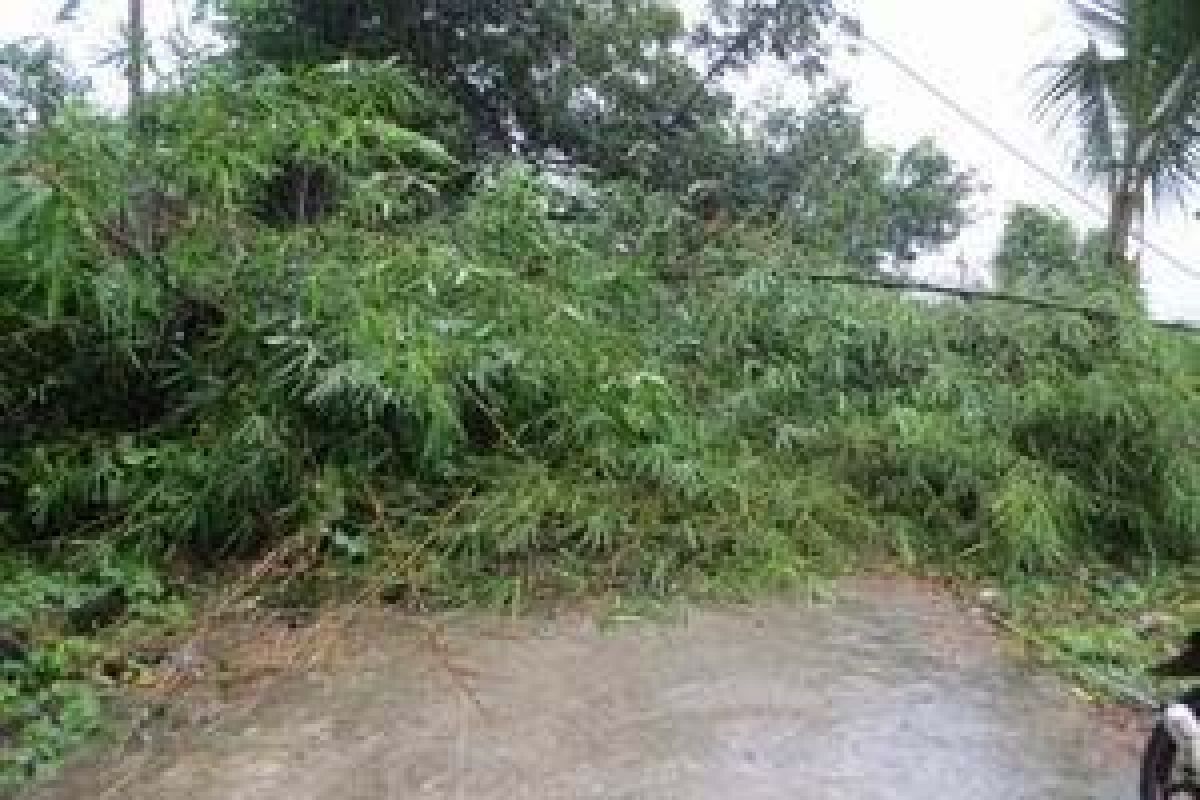 47 sub-districts in Sukabumi prone to landslides