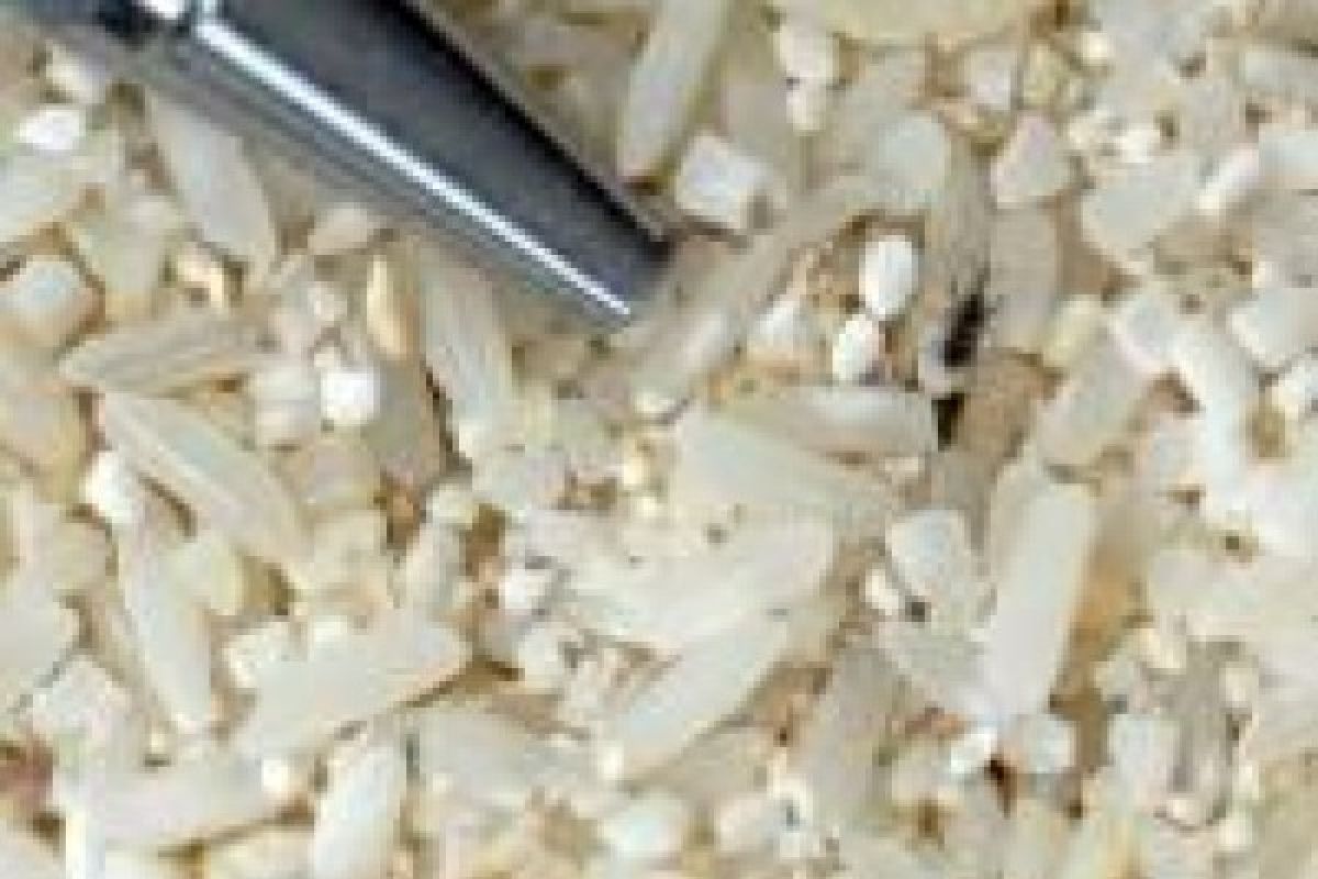 Bulog Siap Ganti Raskin Berkutu